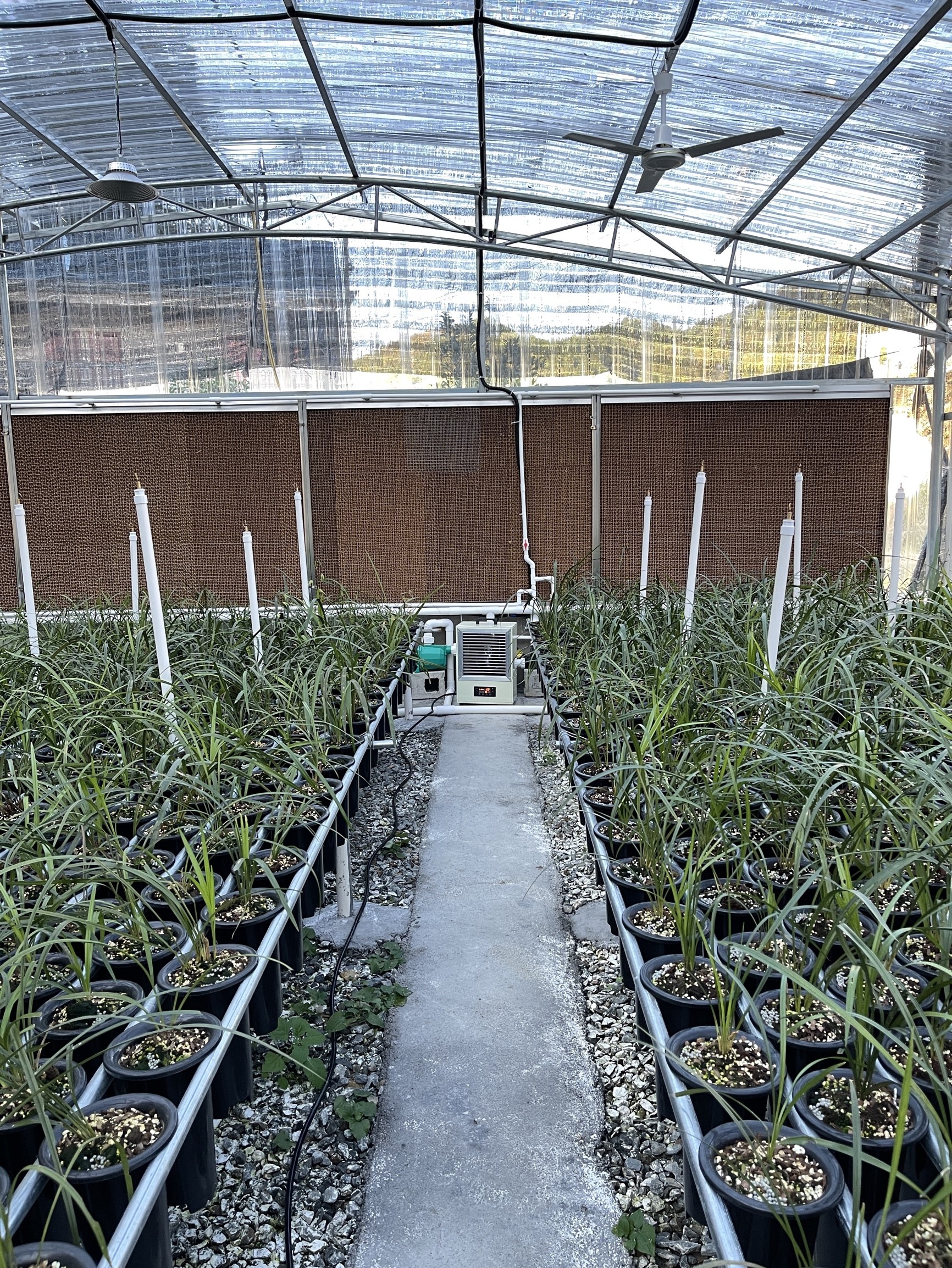 种植暖风机使用案例