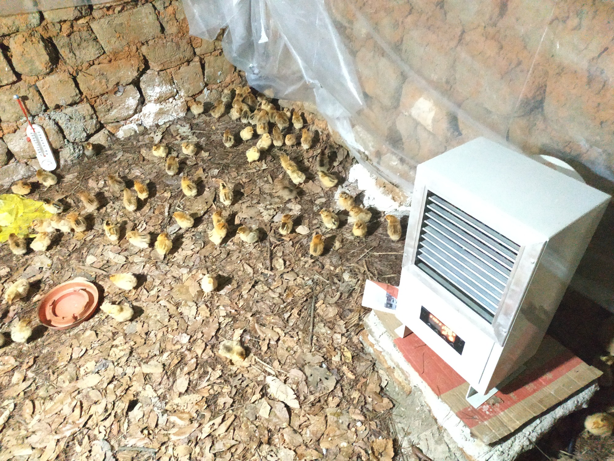 养殖工业暖风机使用案例