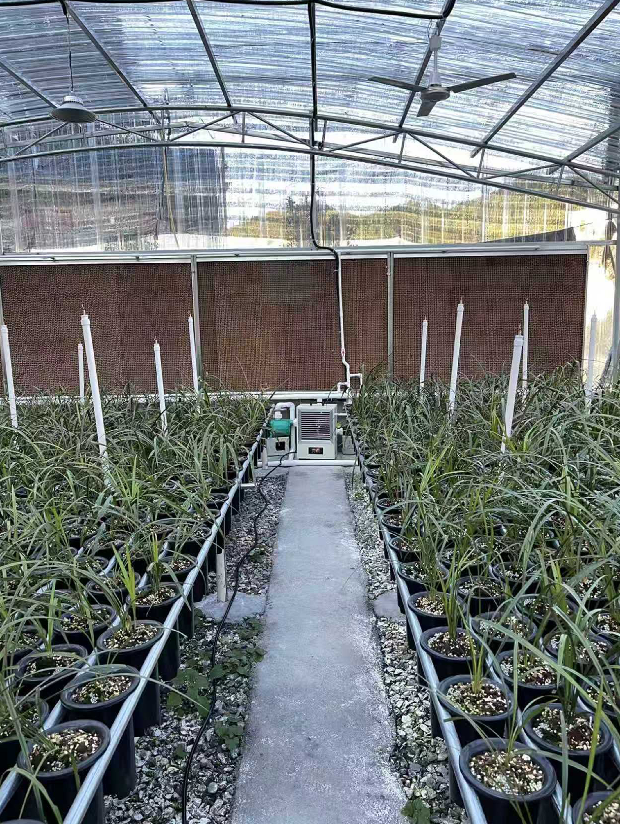 种植暖风机使用案例